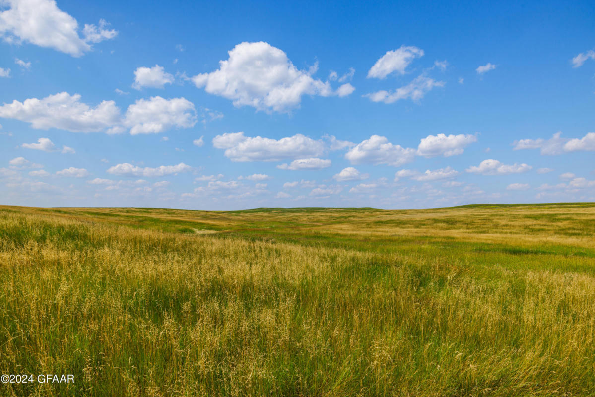 TBD 57 AVENUE SW, LEITH, ND 58529, photo 1 of 41