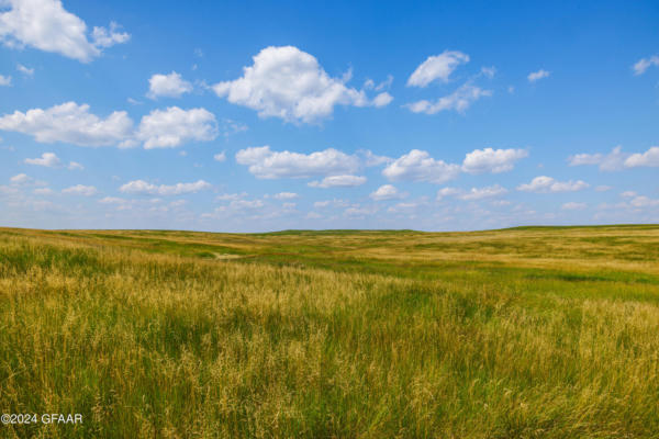 TBD 57 AVENUE SW, LEITH, ND 58529 - Image 1