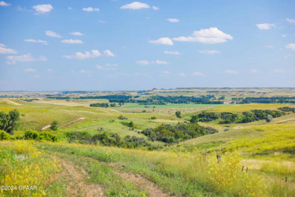 TBD 60 AVENUE SW, LEITH, ND 58529 - Image 1